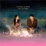 crash landing on you